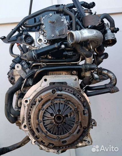 Двигатель BLS Volkswagen Passat B6 1.9 Дизель