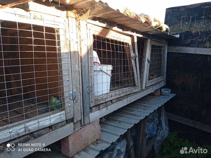 Клетка для кроликов