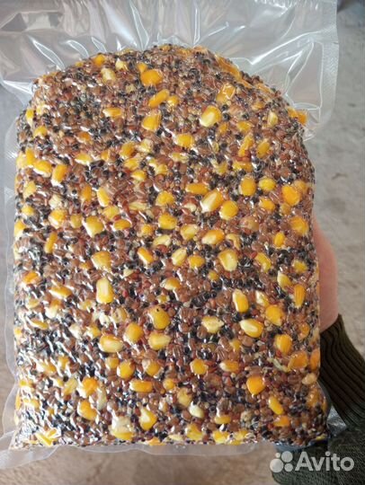 Прикормка зерносмесь