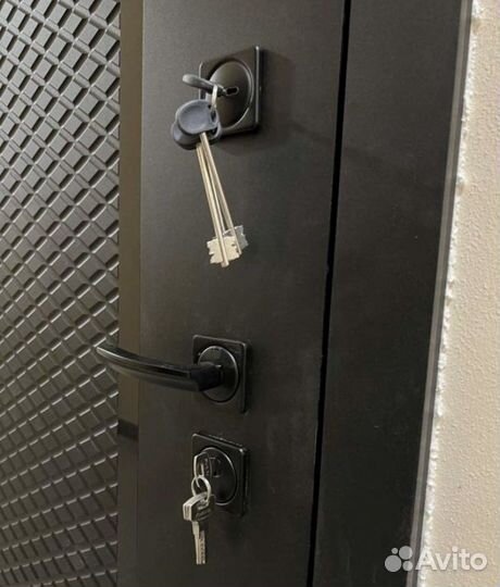 Двери входная