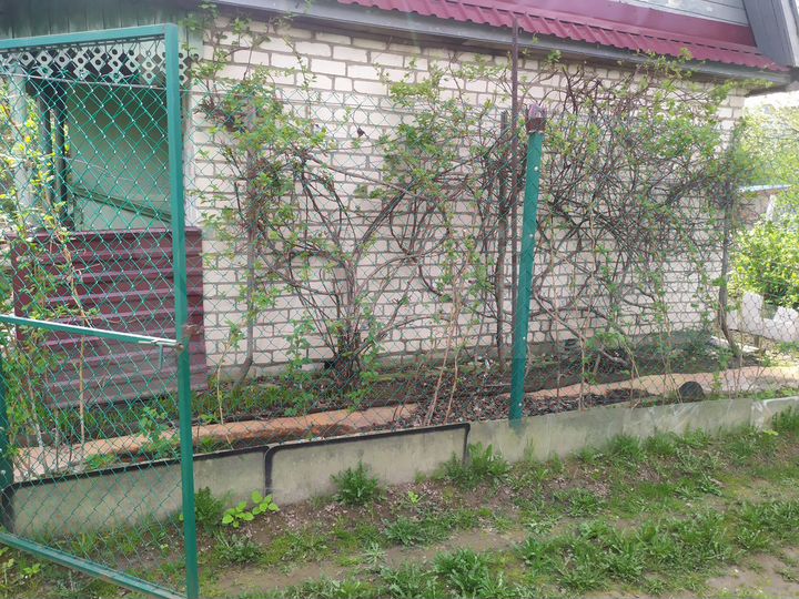 Дача 25 м² на участке 4,3 сот.