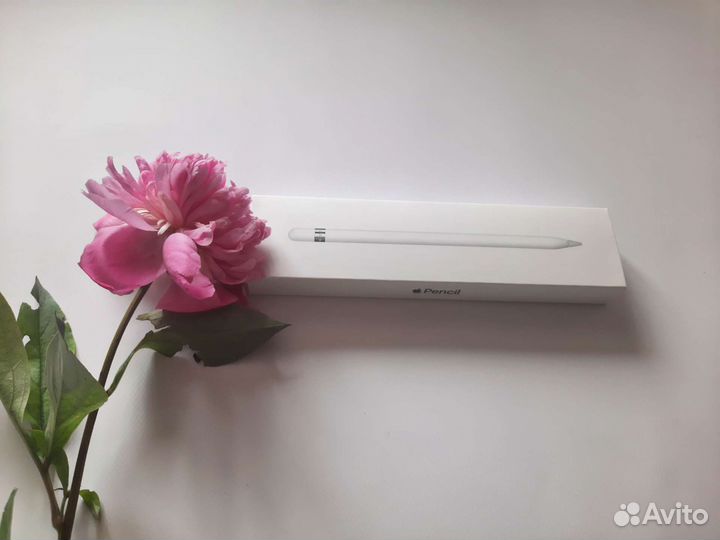 Коробка от стилуса Apple Pencil