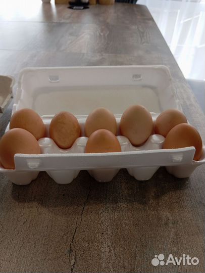 Яйца гусиные/Индюшачии/куриные