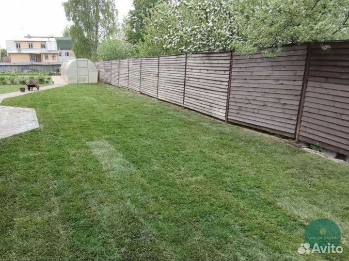 Отличный газон под ключ