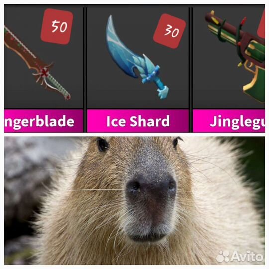 Продам за робуксы описание