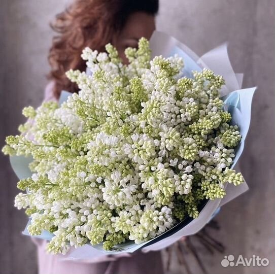 Букет белой сирени (с доставкой)