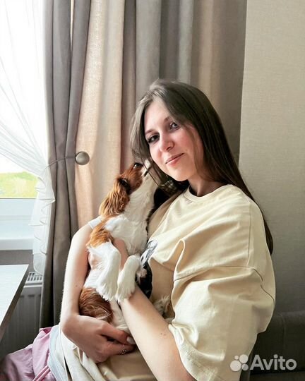 Кинолог, зоопсихолог, передержка,выгул