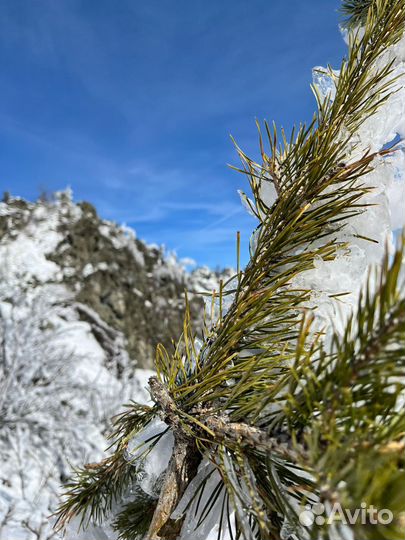 Тур выходного дня на скалы Кульсугадыташ, Курташ