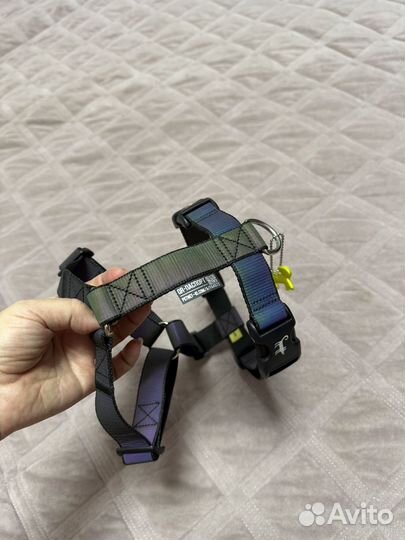 Амуниция для собак