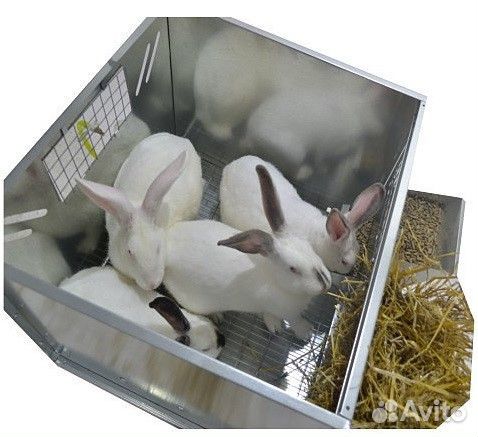 Клетка для кроликов