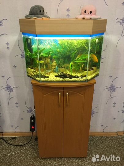 Аквариум с рыбками и тумбой