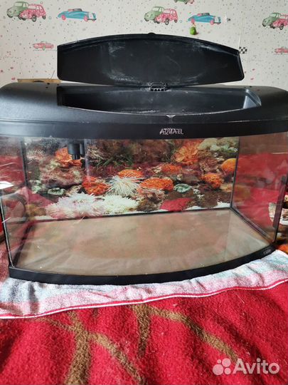 Аквариум с оборудованием