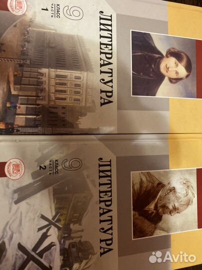 Учебники по Литературе 9 класс 2 части Беленький