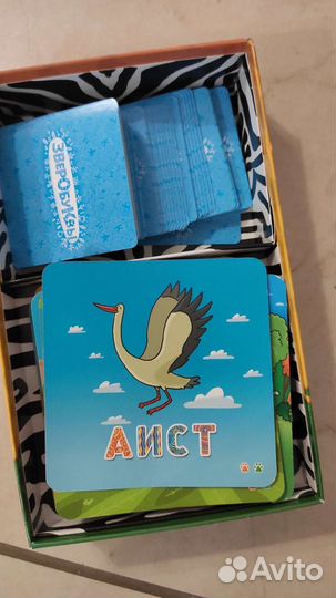 Зверобуквы