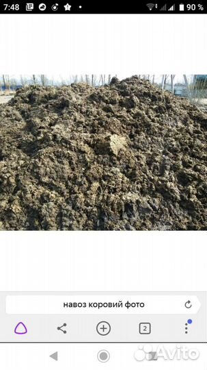Навоз коровий