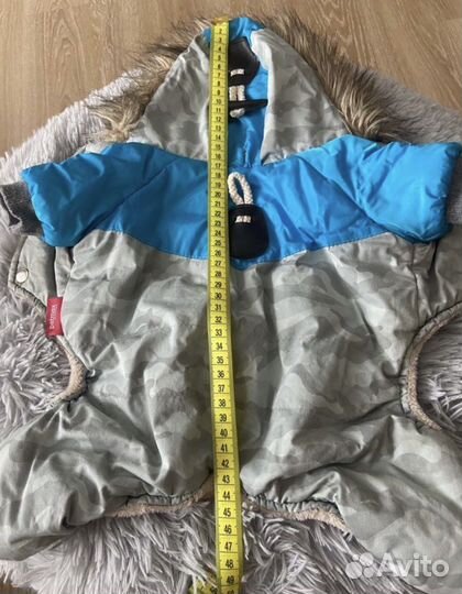 Одежда для собак