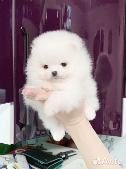 Офигительный мальчишка