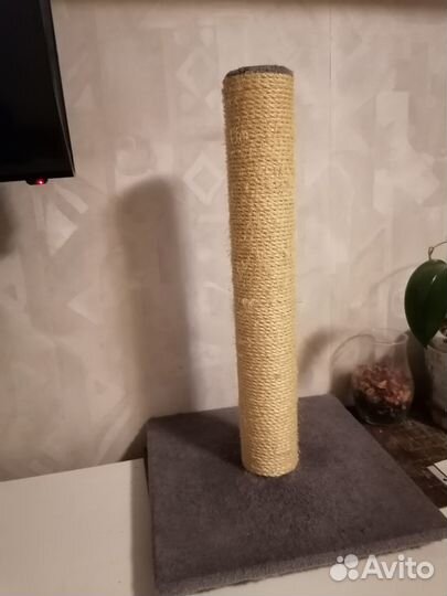 Когтеточка