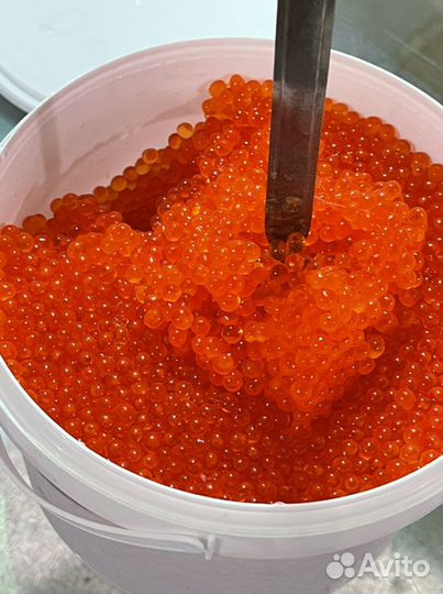 Икра красная форели