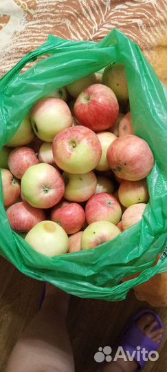 Яблоки