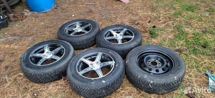 Нокиан хакапелита8