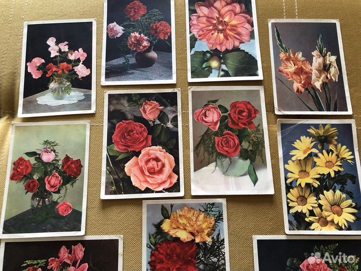 Открытки из Берлина июль 1945 год