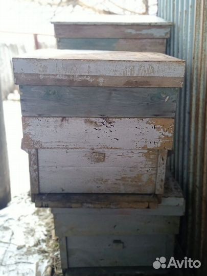 Продам ульи для пчел