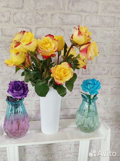 Живые цветы букеты