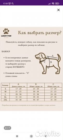 Зимняя куртка для собаки