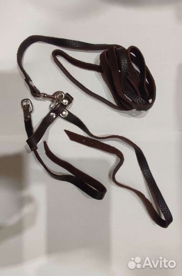 Поводок для микрособачки