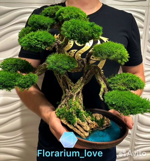 Флорариум с деревом