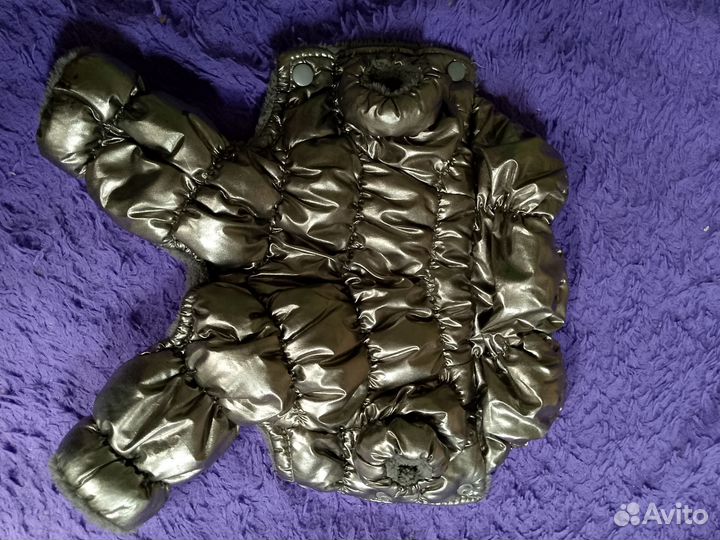 Одежда для собак мелких пород бу