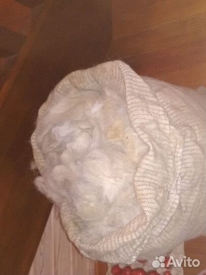 Шерсть счес собачья кавказской овчарки