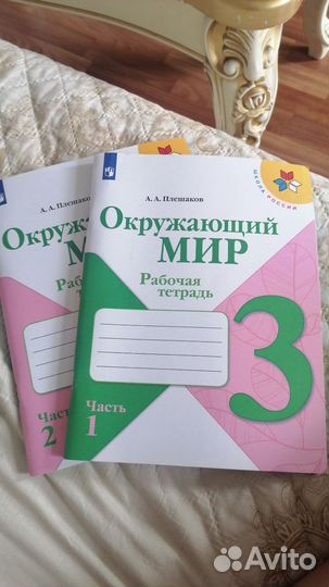 Рабочая тетрадь 3 класс окружающей мир