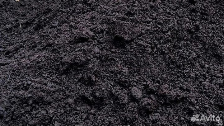 Чернозем маслянистый, плодородный