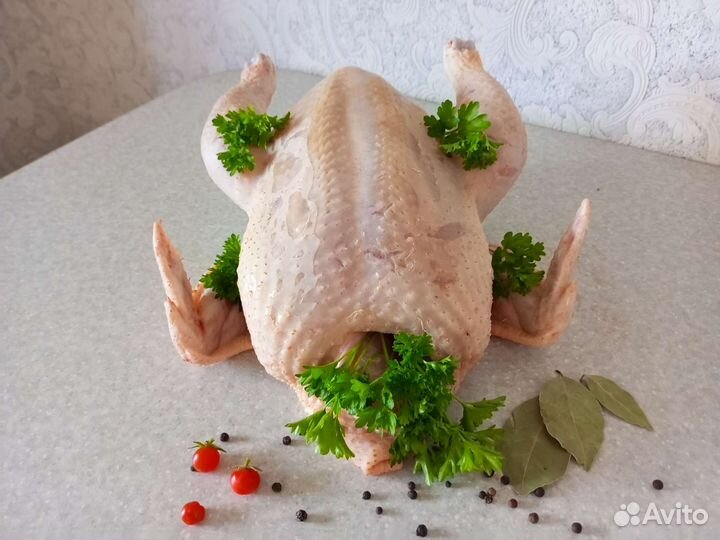 Куры бройлеры