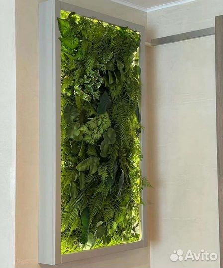 Вертикальное озеленение