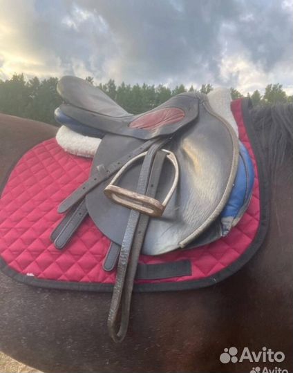 Конная амуниция