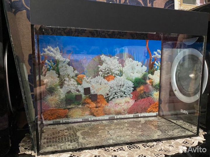 Аквариум