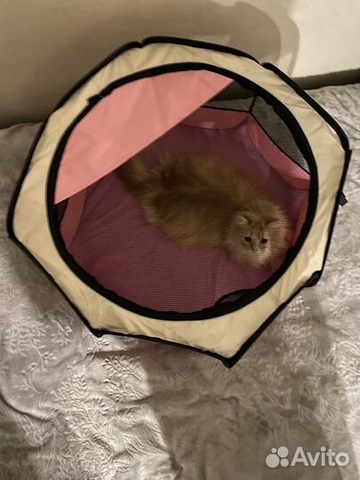 Вольер, манеж для животных, домик для кошек