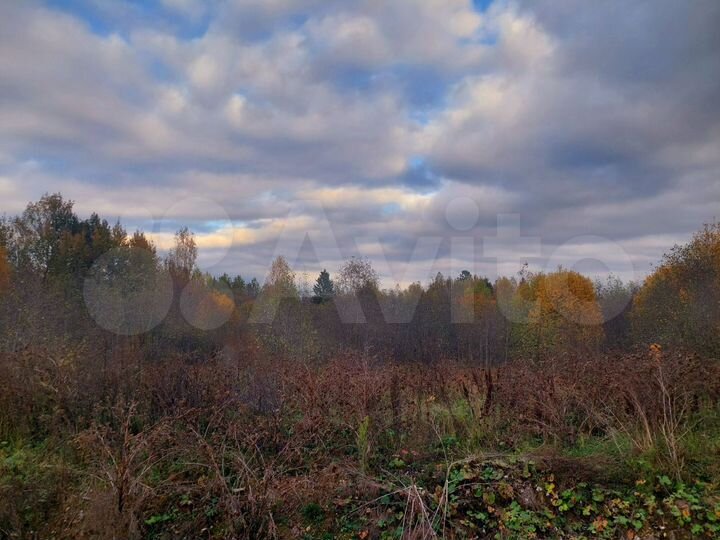 Участок 5,37 га (ИЖС)