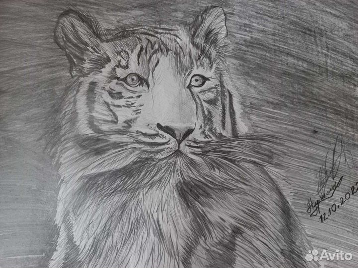 Картины на заказ. (Живопись,Графика)