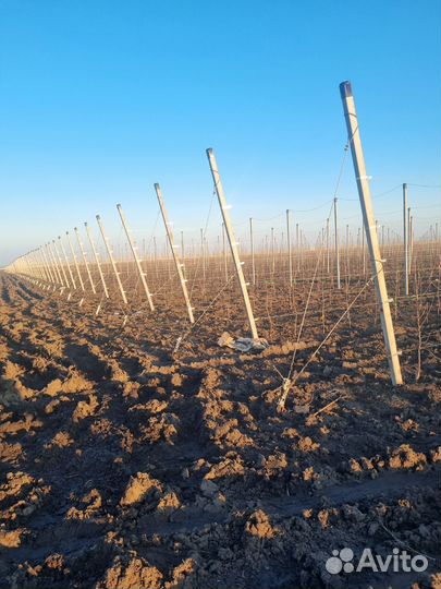 Столбы бетонные шпалерные для сада