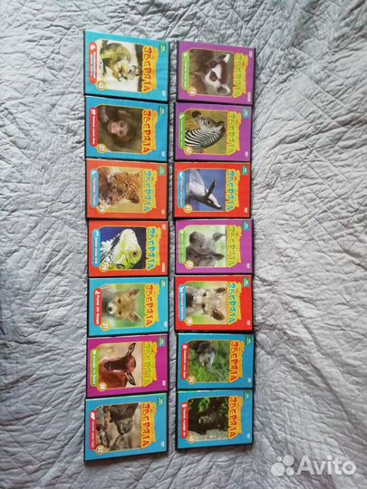 DVD о животных Твои весёлые друзья зверята