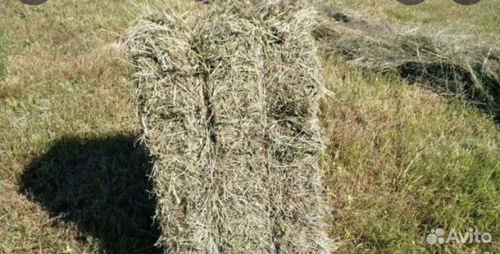 Сено -солома травой в тюках с доставкой,горох