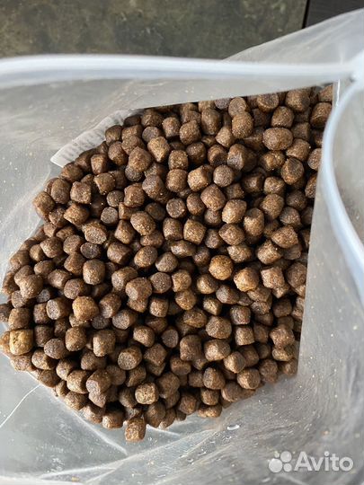 Сухой корм для собак grandorf