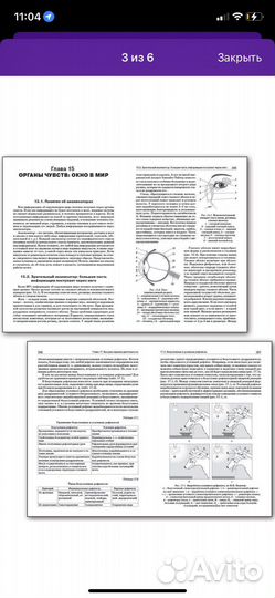 Книга физиология человека просто о сложном