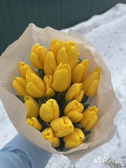 Тюльпаны к 8 марта