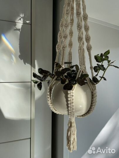 Кашпо подвесное для цветов (макраме)