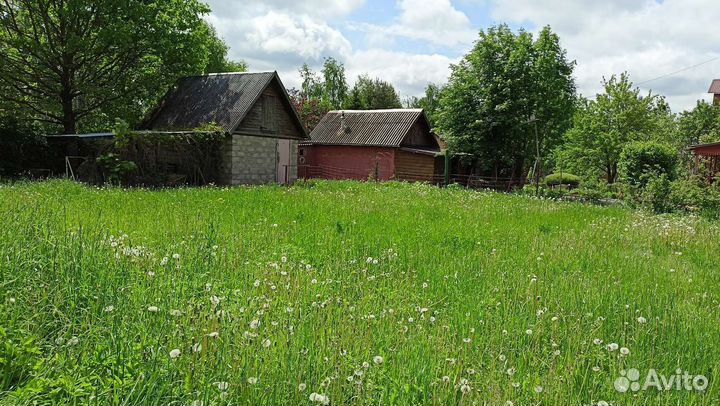 Покос травы